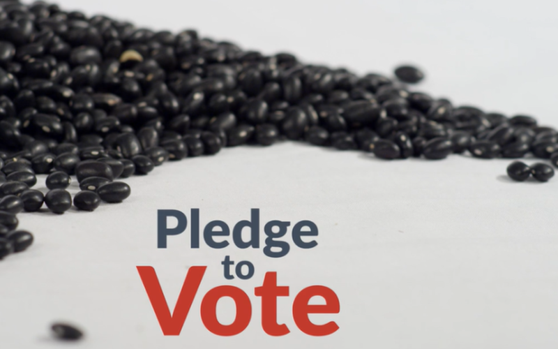 Pledge to Vote