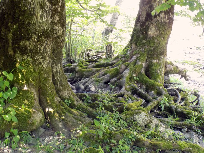 Church: The Power of Working Together