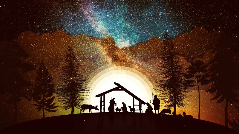 AFA.net - A Christmas Greeting from Tim Wildmon - Vimarsana News