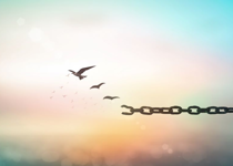 We Are Commanded to Forgive