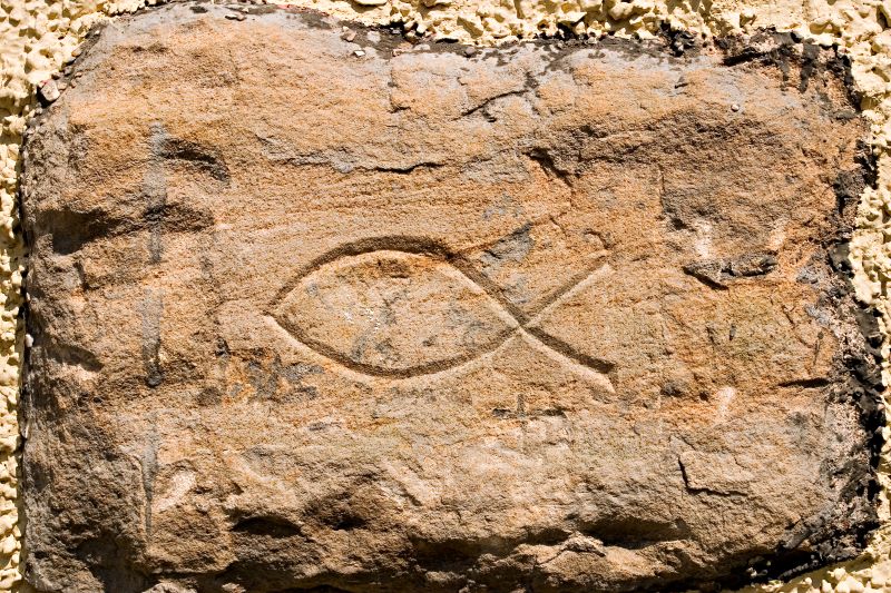 AFA.net - God Is Doing More Than You Know - Vimarsana News