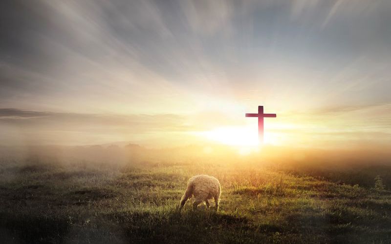 A Careful Look at 2 Chronicles 7:14