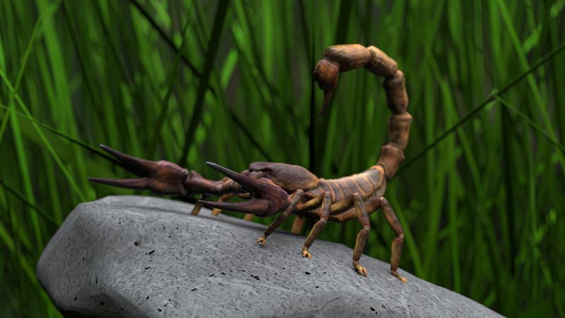 Democrats Have Become the Scorpion Party