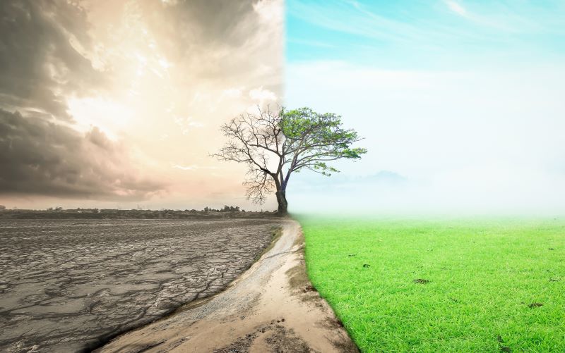 AFA.net - Lasting Cultural Change Takes Time - Vimarsana News