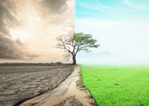 Lasting Cultural Change Takes Time