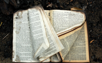 Share Those Little Verses