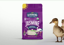 Another Ad Insinuates Profanity