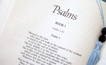 Biblical Counsel for the Year Ahead (Part 1)