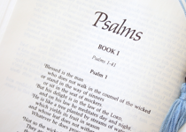 Biblical Counsel for the Year Ahead (Part 1)