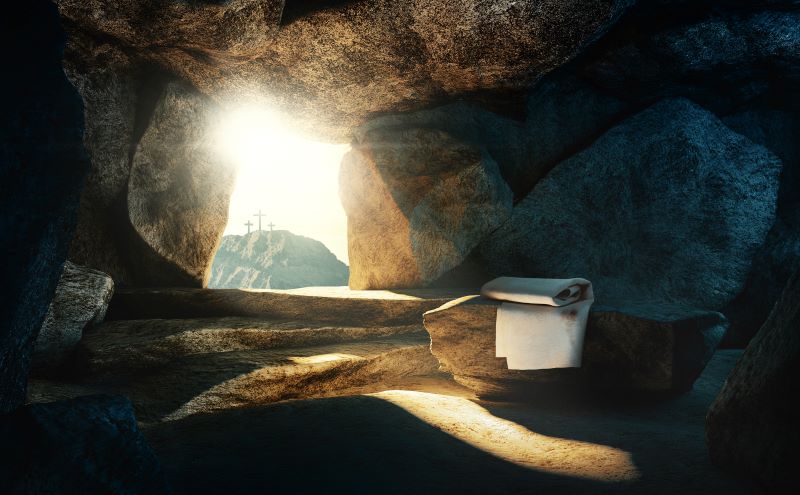 AFA.net - Living With a Victorious Worldview - Vimarsana News