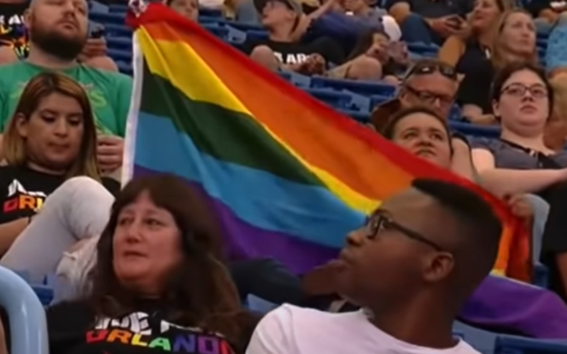 Please, Just Baseball at Baseball Games