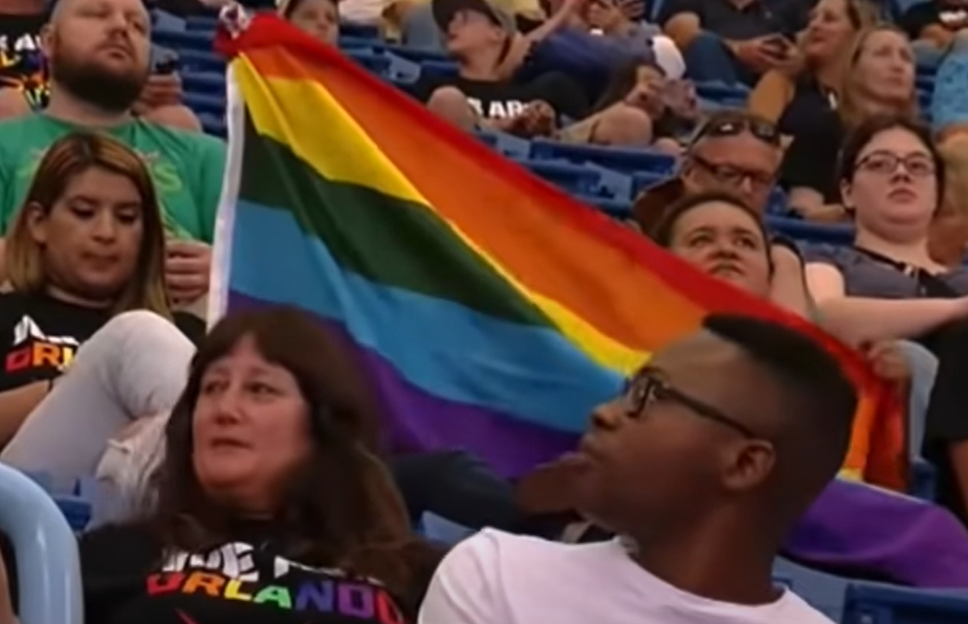 Please, Just Baseball at Baseball Games