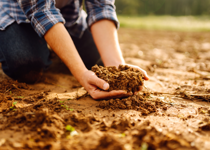 A Message in the Dirt