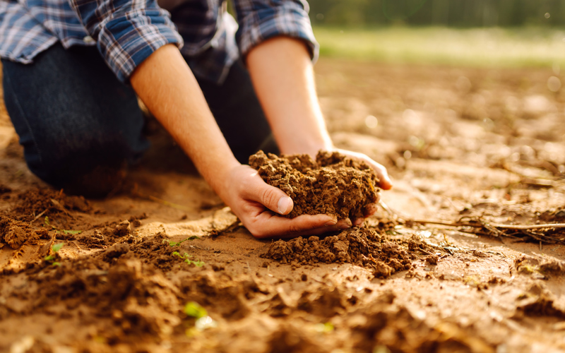 A Message in the Dirt