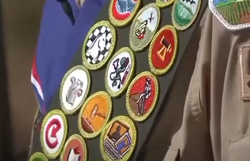 AFA.net - The Quiet Risk of the 'New' Scouts - Vimarsana News