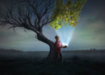 'I Have Overcome the World'