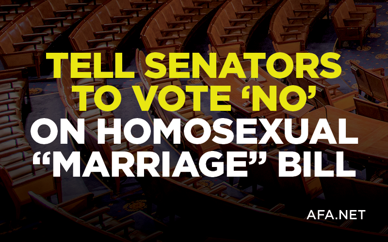 Tell Your Senators to Vote "NO!" on Homosexual "Marriage" Bill