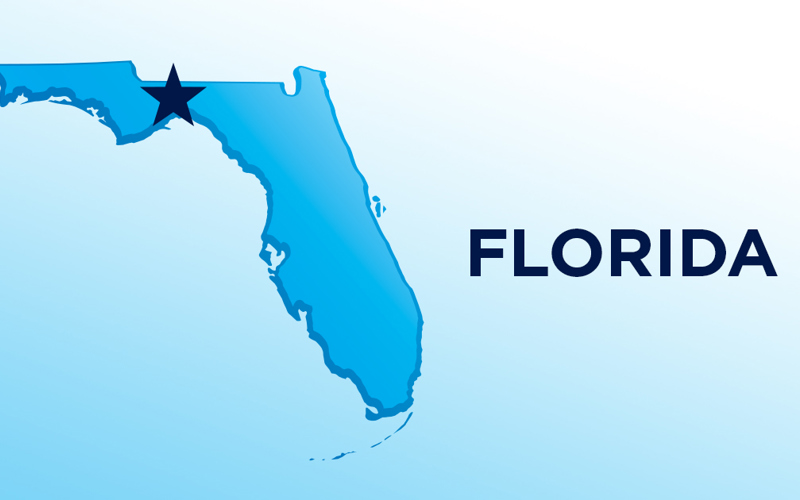 Protect Florida’s Constitution from Foreign Dark Money: Contact Your State Senator Today