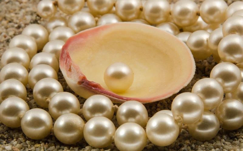 Priceless Pearls, Priceless Principles