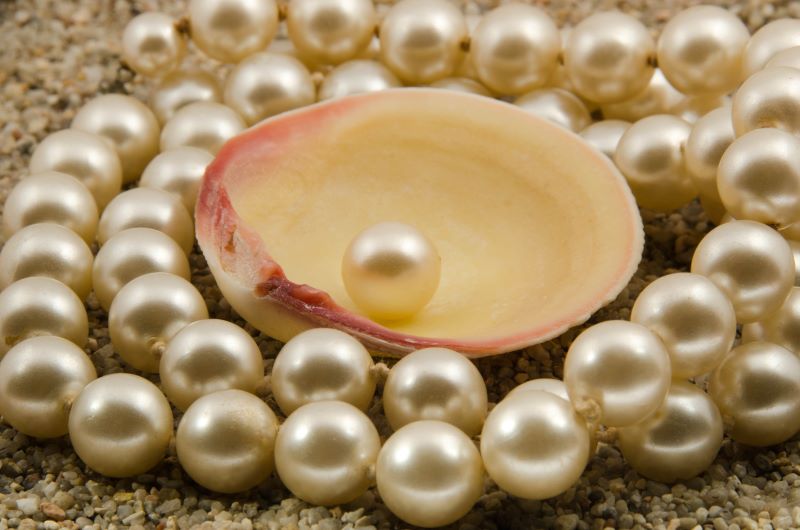 Priceless Pearls, Priceless Principles