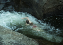 Swimming Upstream