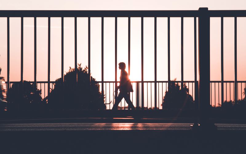 AFA.net - Don't Give Up on Hard Questions - Vimarsana News