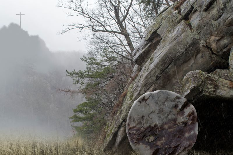 AFA.net - Something Else - Vimarsana News