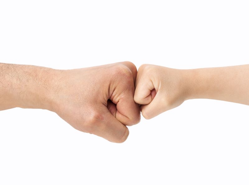 Minute Details Orchestrated by a Mighty Hand