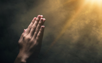 The Elements of Thanksgiving