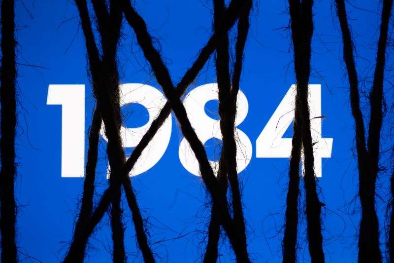 AFA.net - Make 1984 Fiction Again - Vimarsana News