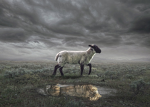 Lamb of God, Lion of Judah