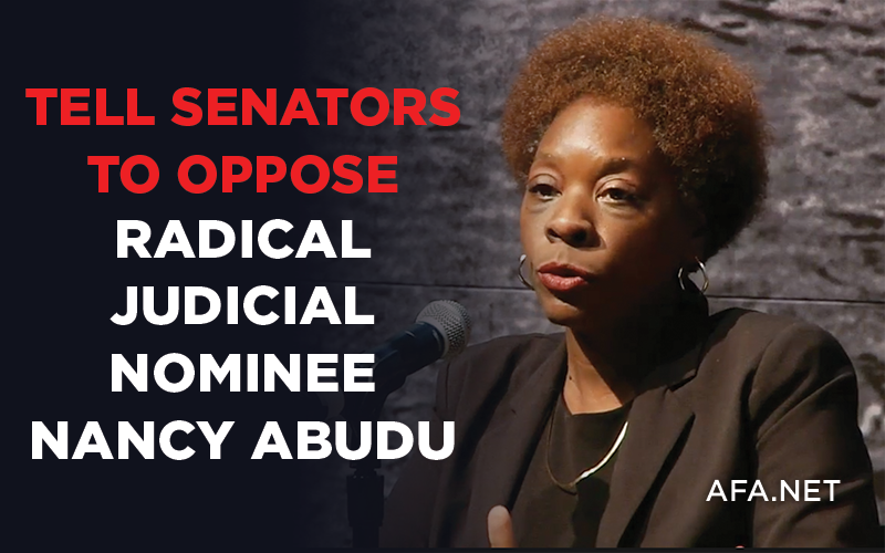 Tell your senators to oppose the renomination of radical Nancy Abudu as a judge